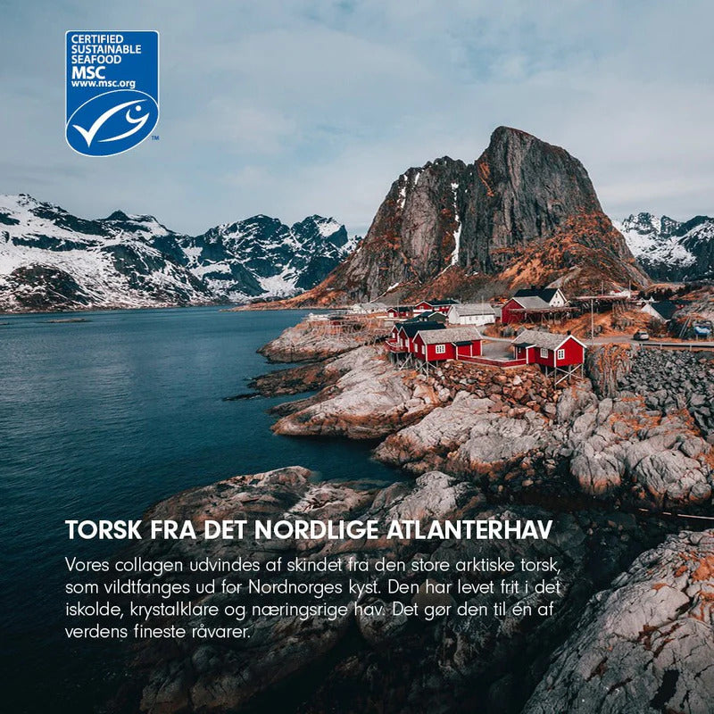 VILD NORD Collagen Gold | 165 gr fra VILD NORD på Mecindo.dk