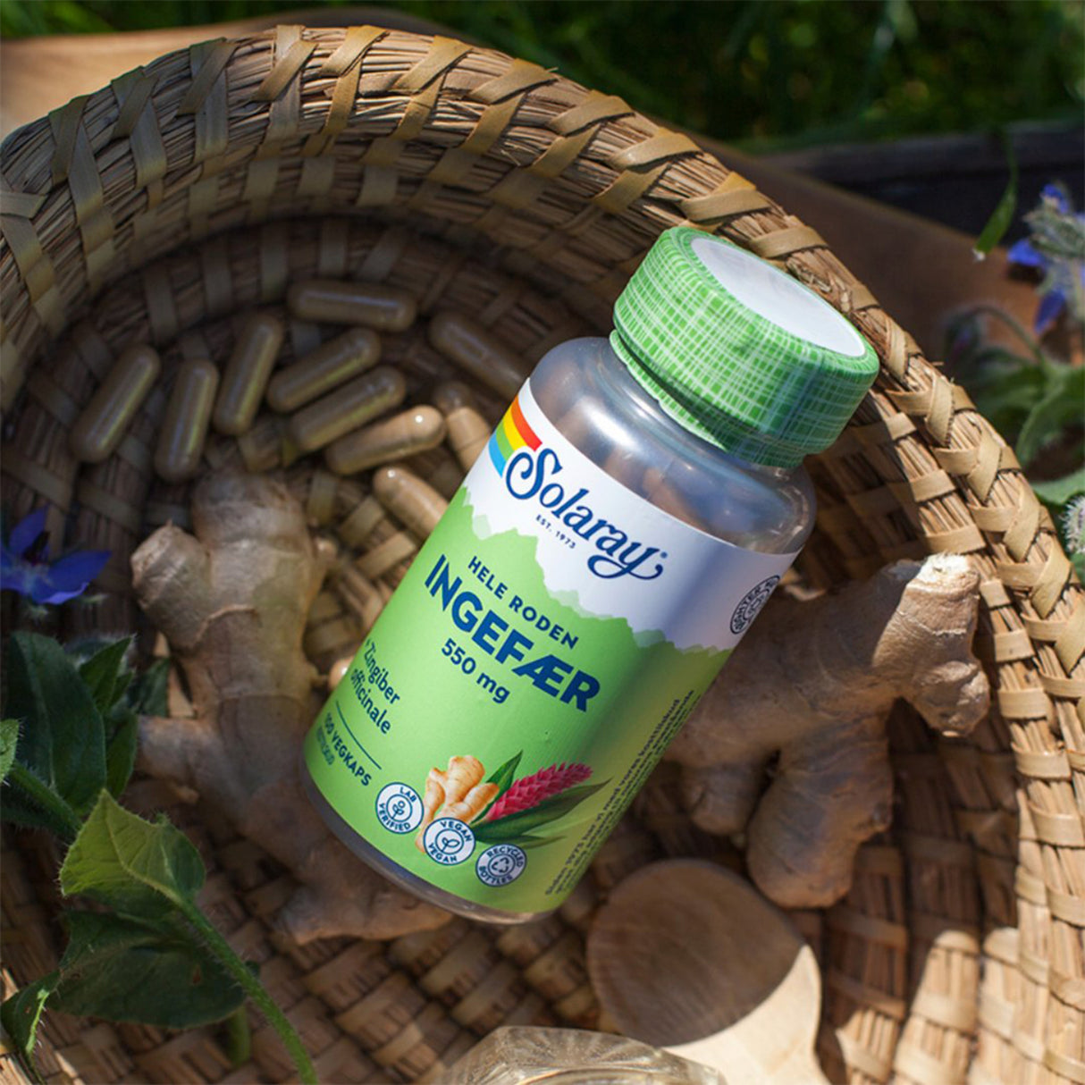 Solaray Ingefærrod | 100 kapsler fra Solaray på Mecindo.dk