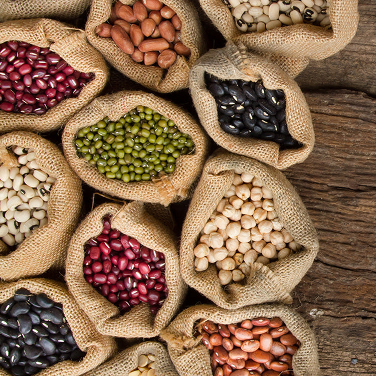 Biogan Økologiske Hvide Bønner | 750 gr fra Biogan på Mecindo.dk