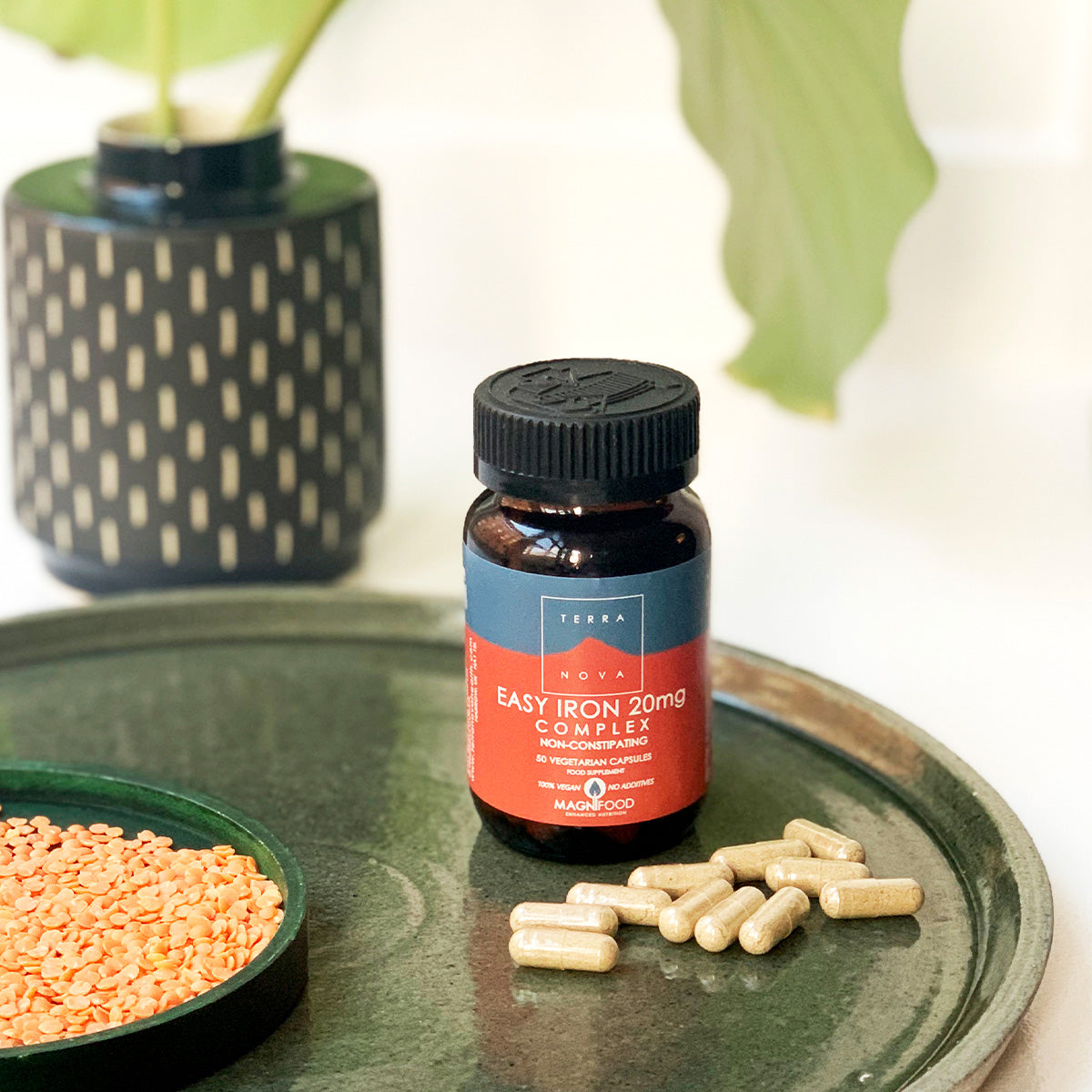 Terranova Easy Iron | 50 kapsler fra Terranova på Mecindo.dk