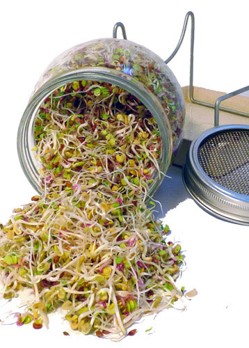 GEO Spireglas fra GEO på Mecindo.dk