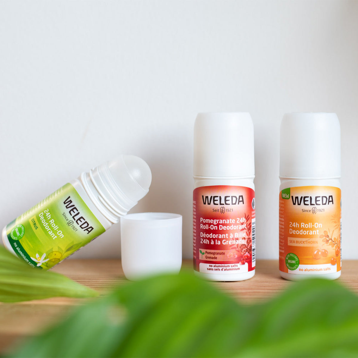 Weleda Deodorant Roll-on 24h (50 ml) | Pomegranate fra Weleda på Mecindo.dk