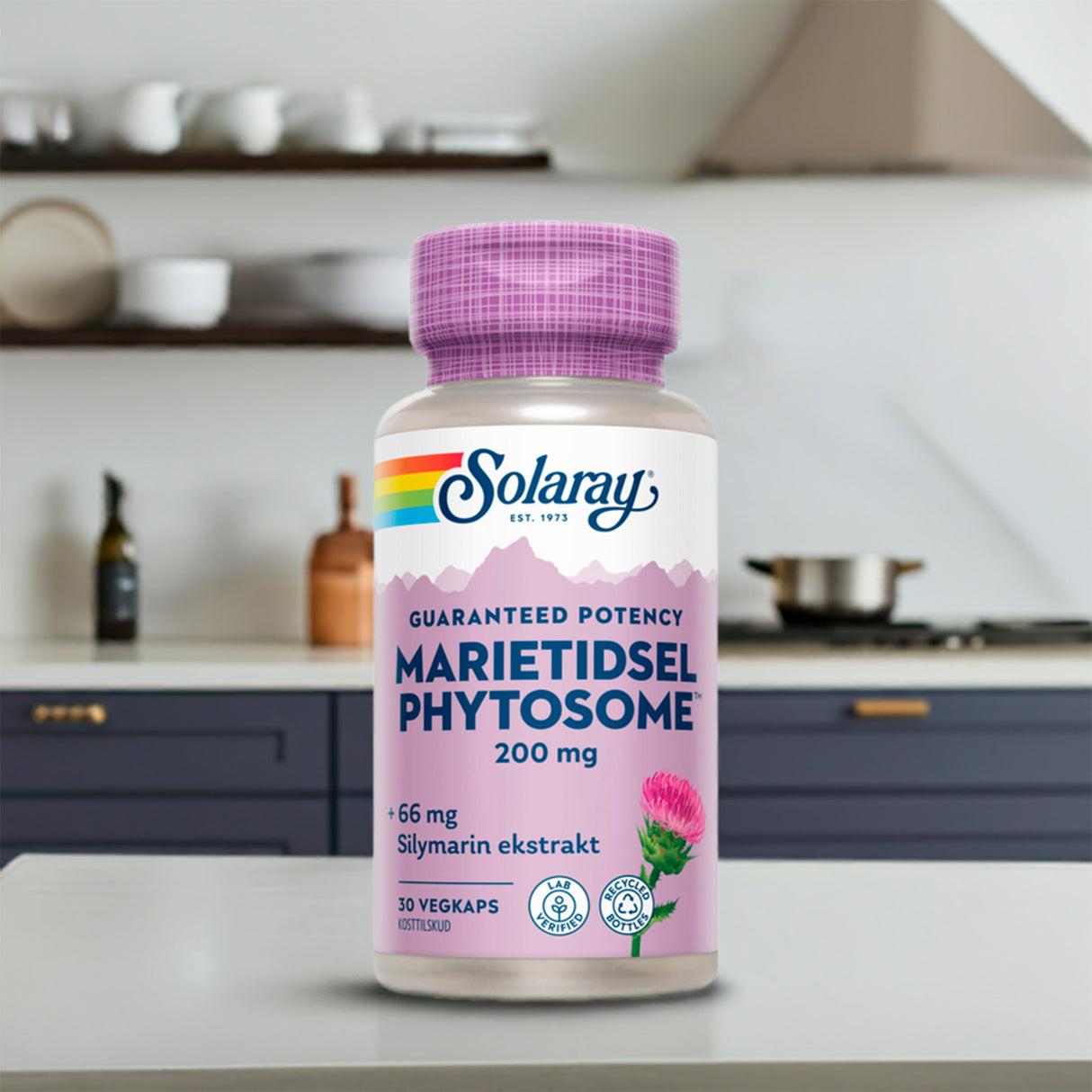 Solaray Marietidsel Phytosome | 30 kapsler fra Solaray på Mecindo.dk