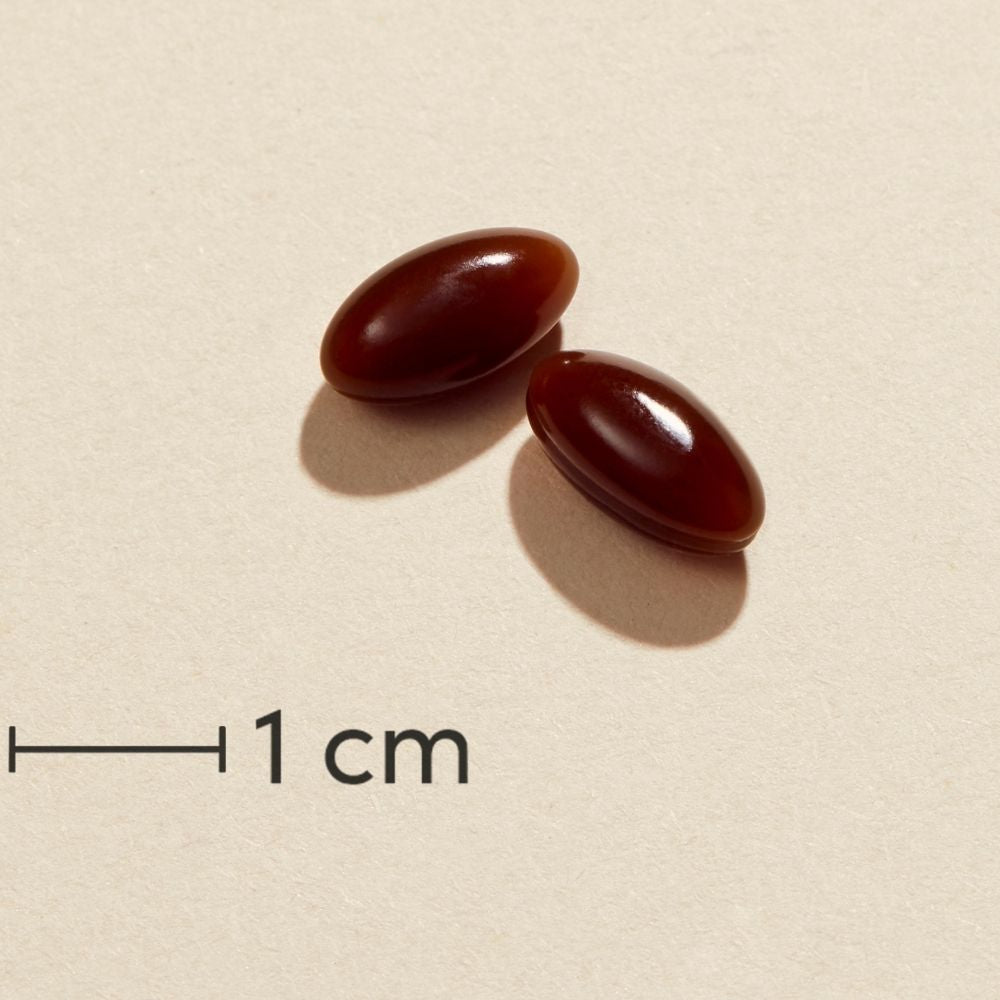 Biosym Omnivita Veg D Forte | 60 kapsler fra Biosym på Mecindo.dk