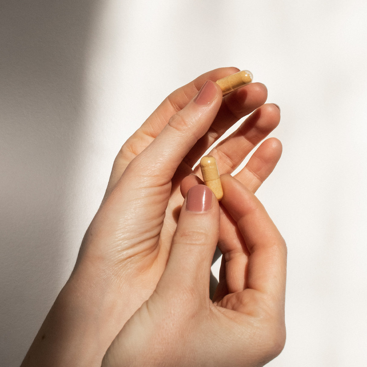 NORDBO Vegan D3, C & Zink | 90 kapsler