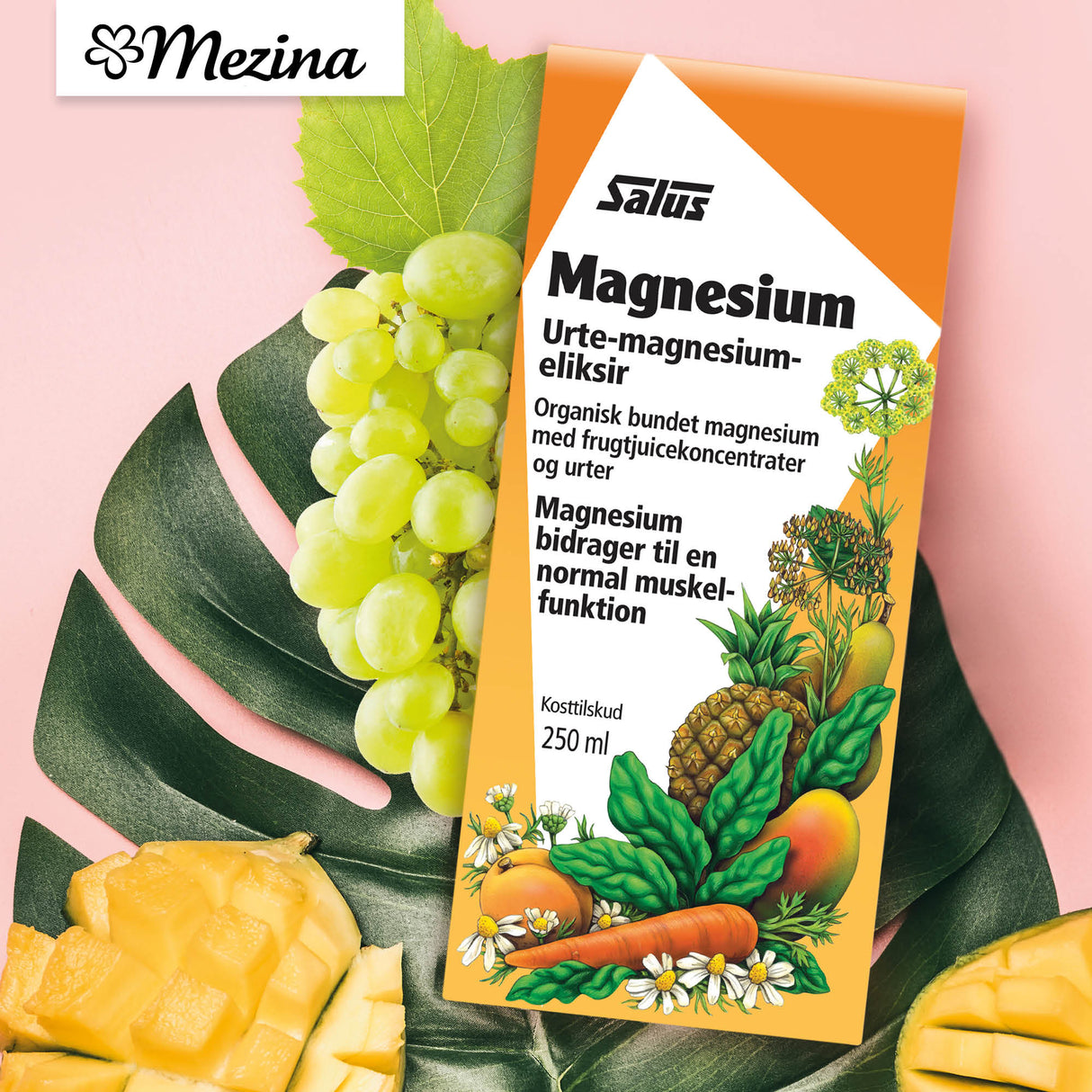 Salus Magnesium | 250 ml fra Salus på Mecindo.dk