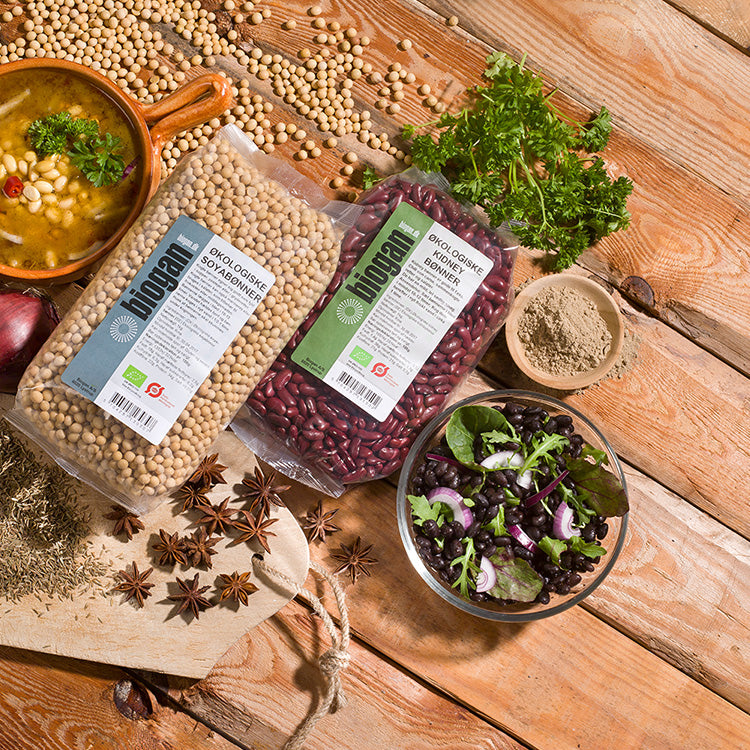 Biogan Økologiske Sojabønner | 1 kg fra Biogan på Mecindo.dk