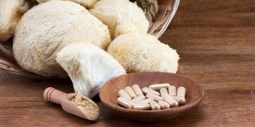 medicinske svampe 2.jpg