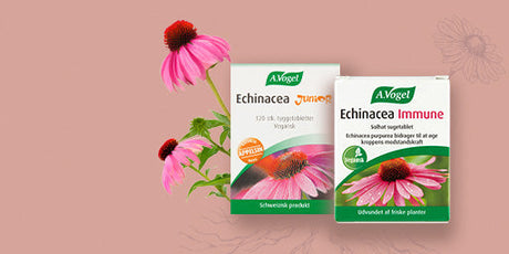 Støt immunforsvaret med echinacea og A.Vogel