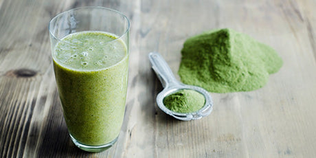 Moringa – Hvad er det?