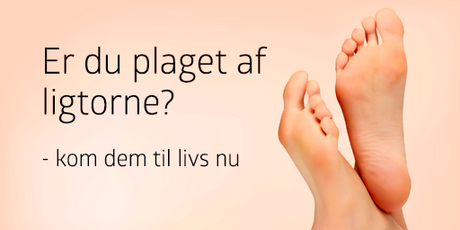 Alt om ligtorne