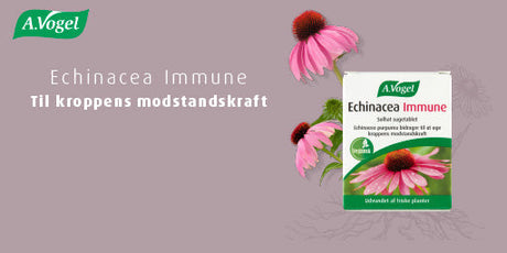 Kender du Echinacea Immune  fra A.Vogel?