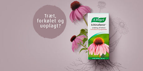 A.Vogel – Echinaforce mod forkølelse