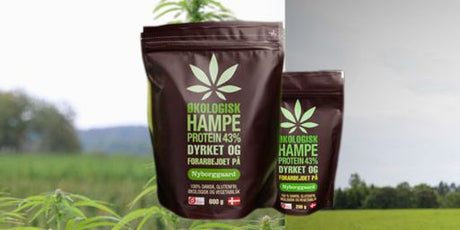 Hampeprotein: Din guide til et plantebaseret protein