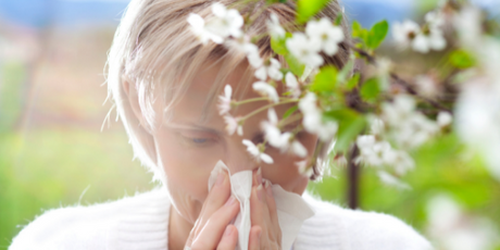Pollen, pollenallergi og høfeber