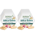 Berthelsen Silica Extra | 2 x 60 kapsler