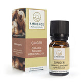 Ambience Ingefaer Olie, Øko | 10 ml fra Ambience på Mecindo.dk