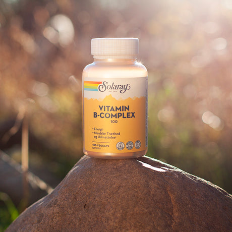 Solaray Vitamin B-complex 100 | 100 kapsler fra Solaray på Mecindo.dk