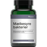 Mezina Mælkesyrebakterier Probiotika | 60 KAP fra Mezina på Mecindo.dk