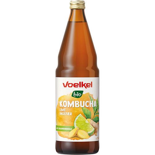Voelkel Kombucha Lime - Ingefaer Økologisk | 750 ml fra Voelkel på Mecindo.dk