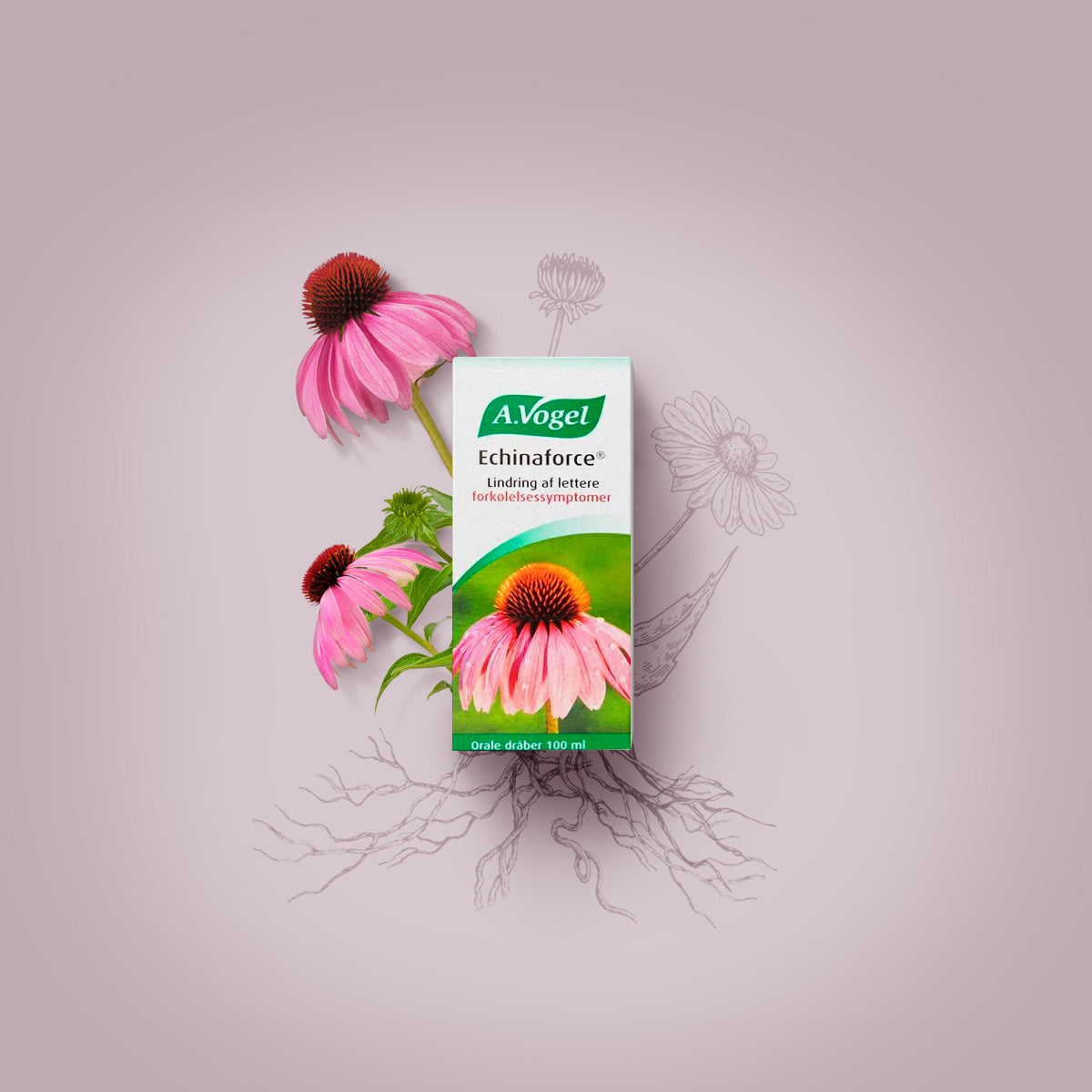 A.Vogel Echinaforce dråber | 100 ML fra A.Vogel på Mecindo.dk