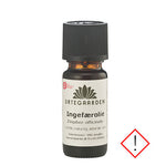 Urtegaarden Ingefærolie Økologisk | 10 ml