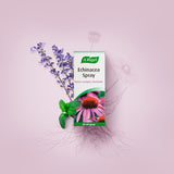 A.Vogel Echinacea Spray | 30 ml fra A.Vogel på Mecindo.dk