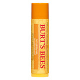 Burt's Bees Laebepomade (4 gr) | M. Mango fra Burt's Bees på Mecindo.dk