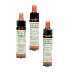 Dr. Bach Vinranke Engholm | 10 ml fra Dr. Bach på Mecindo.dk