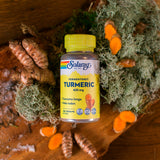 Solaray Turmeric Fermenteret | 100 kapsler fra Solaray på Mecindo.dk