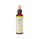 Bach Dråber Kastanieknop | 10 ml fra Bach Originale Blomsterremedier på Mecindo.dk