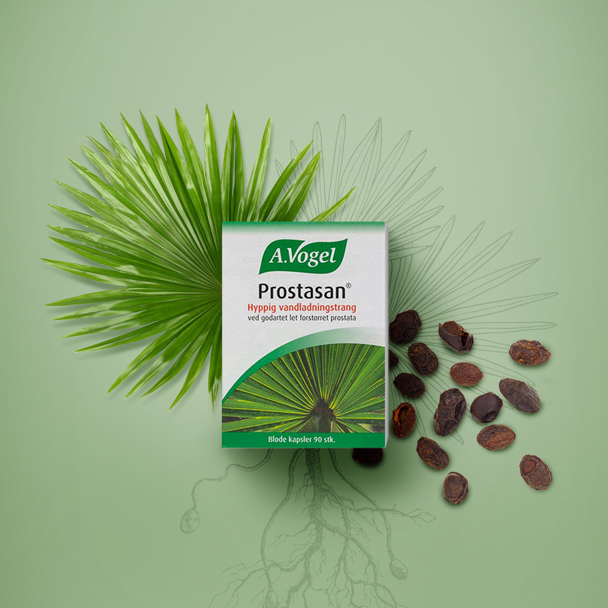A.Vogel Prostasan | 90 kapsler fra A.Vogel på Mecindo.dk