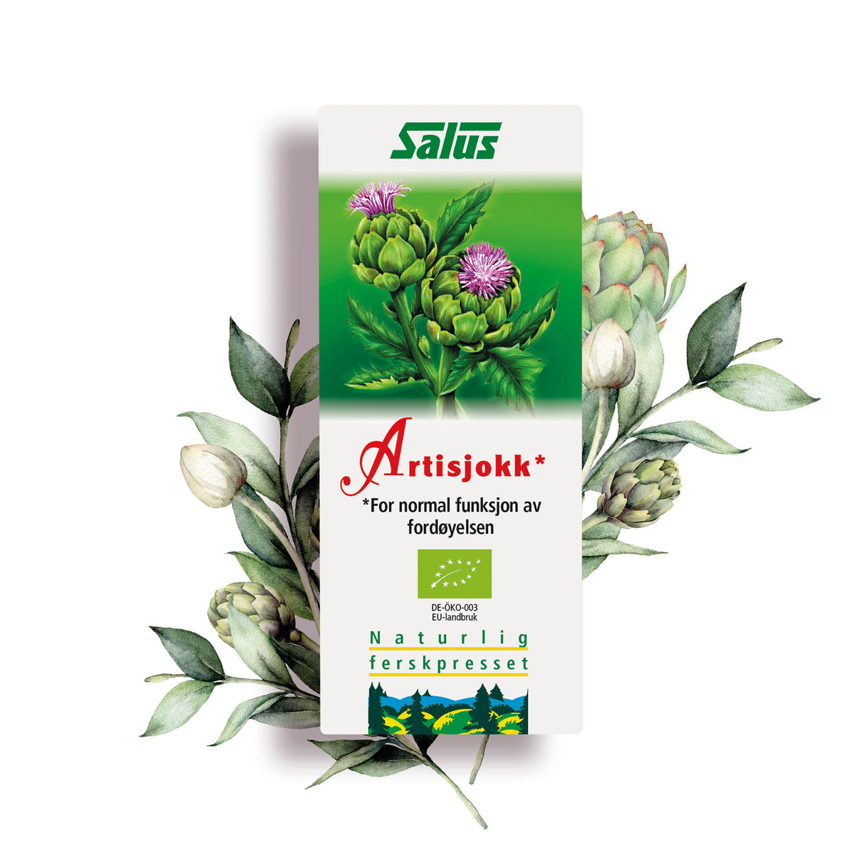 Salus Artiskoksaft Schönenberger Ø | 200 ml fra Salus på Mecindo.dk
