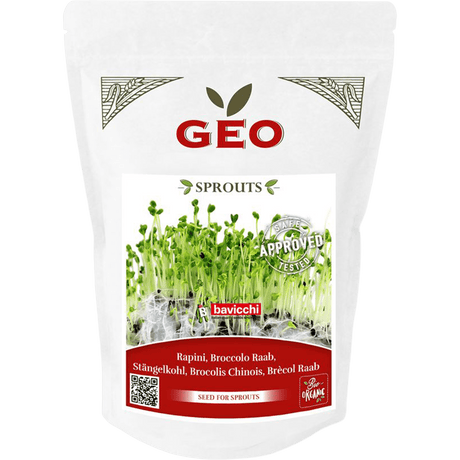 GEO Broccoli Raab Til Spiring Økologisk | 500 g