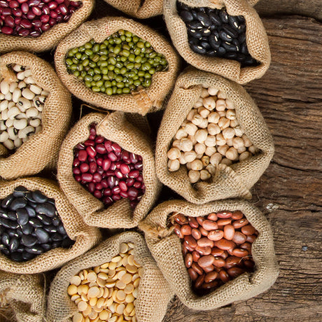 Biogan Favabønner/hestebønner Økologisk | 400 gr fra Biogan på Mecindo.dk