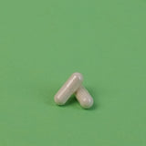 NDS Zn+ Zinc Tablet | 90 Tabl. fra NDS på Mecindo.dk