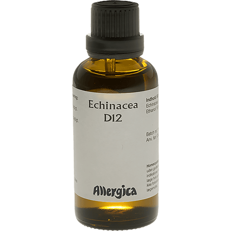 Allergica Echinacea D12 | 50 ml