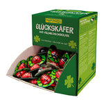 Rapunzel Mariehøns lys chokolade m. trøffelfyld 4,7g Økologisk ca. 170 stk | 800 gr