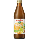 Voelkel Kombucha Lime-ingefaer Økologisk | 330 ml fra Voelkel på Mecindo.dk