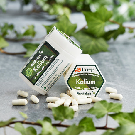 Berthelsen Kalium | 60 kapsler fra Berthelsen på Mecindo.dk