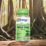 Solaray Wild Yam Root | 100 kapsler fra Solaray på Mecindo.dk