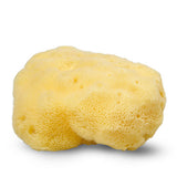 Natursvamp Silke 10-11 cm fra Cocoon på Mecindo.dk