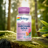 Solaray Curcumin Gold | 30 kapsler fra Solaray på Mecindo.dk