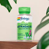 Solaray Astragalus | 100 kapsler fra Solaray på Mecindo.dk
