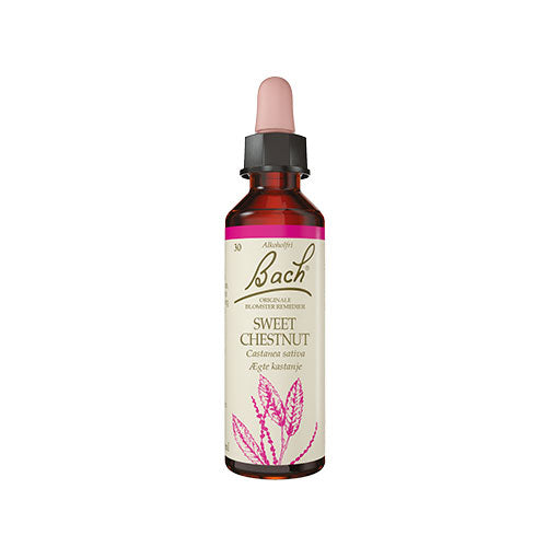 Bach Dråber AEgte Kastanie | 10 ml fra Bach Originale Blomsterremedier på Mecindo.dk