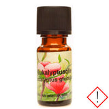 Eukalyptusolie Æterisk | 10 ml fra Mecindo.dk på Mecindo.dk