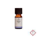 Fischer Pure Nature Kaktus Duftolie | 10 ml