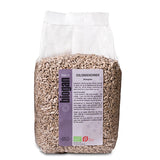 Biogan Økologiske Solsikkekerner | 1 kg fra Biogan på Mecindo.dk