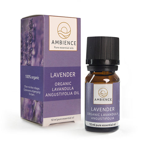 Ambience Lavendel Olie, Øko | 10 ml fra Ambience på Mecindo.dk