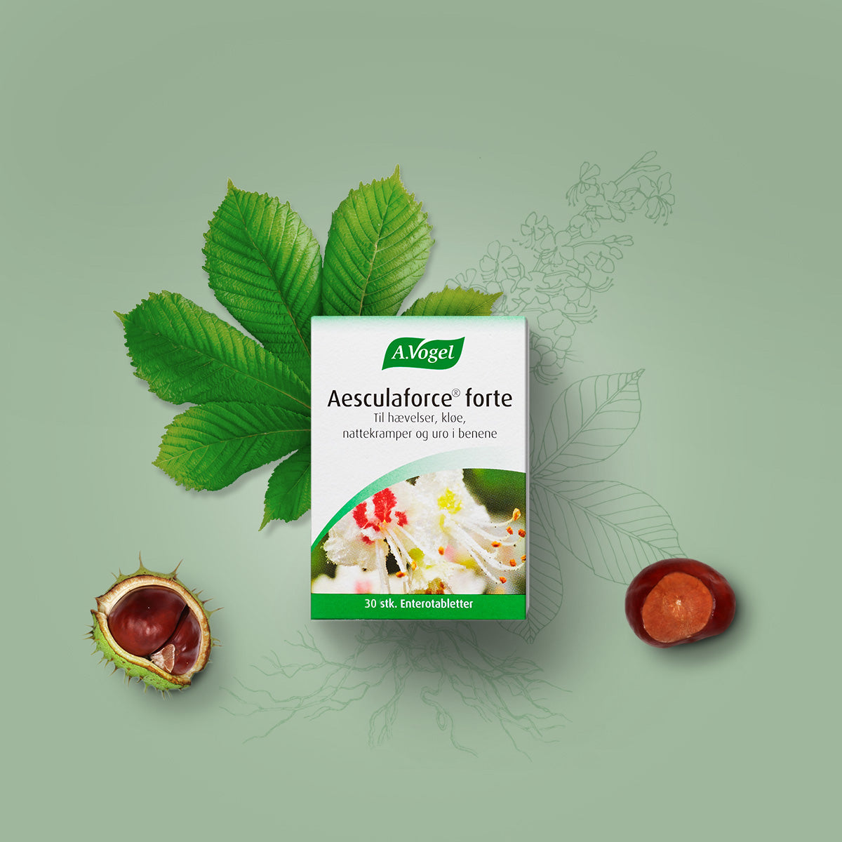 A.Vogel Aesculaforce Forte | 30 TAB